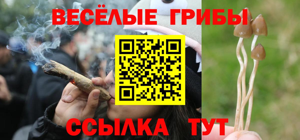 Псилоцибиновые грибы Psilocybine cubensis  Псилоцибиновые грибы прущие грибы  сколько стоит  Вход с VPN  Рославль 